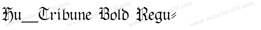 Hu_Tribune Bold Regu字体转换